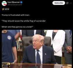 230 KB