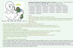 251 KB