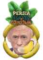 264 KB