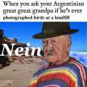 190 KB