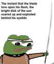 151 KB