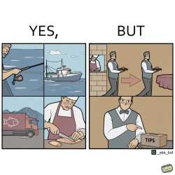 146 KB