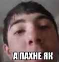 6 KB