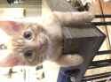 1.92 MB
