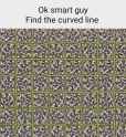 333 KB