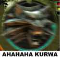 43 KB