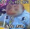 261 KB
