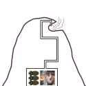 101 KB