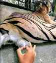 424 KB