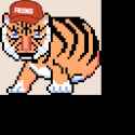 19 KB