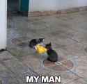 90 KB