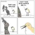 60 KB