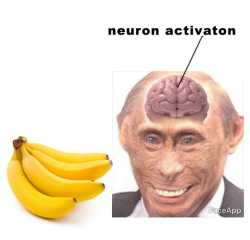 264 KB