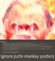 335 KB