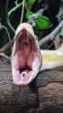 79 KB