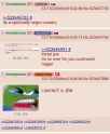 246 KB