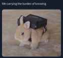 54 KB