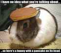 44 KB