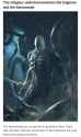 809 KB
