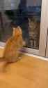 1.48 MB