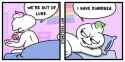 44 KB