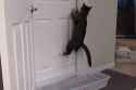 663 KB