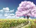 367 KB