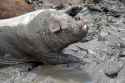 511 KB
