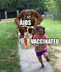 48 KB