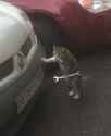 38 KB