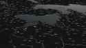 3.99 MB