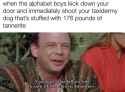 40 KB