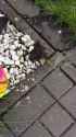 2.96 MB