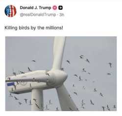 106 KB