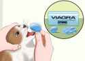 389 KB