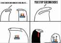 51 KB