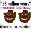 221 KB