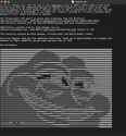 338 KB