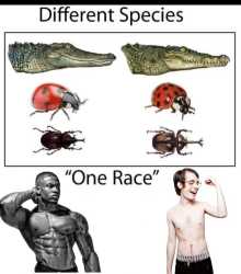 115 KB