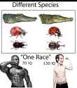 105 KB