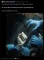 97 KB