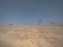 1.51 MB
