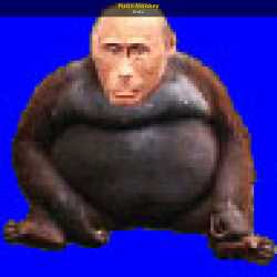 141 KB