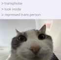 30 KB