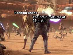 275 KB