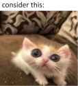 162 KB