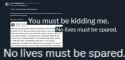 249 KB