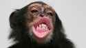 44 KB