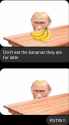 31 KB