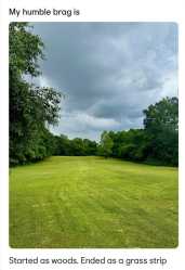 1.01 MB
